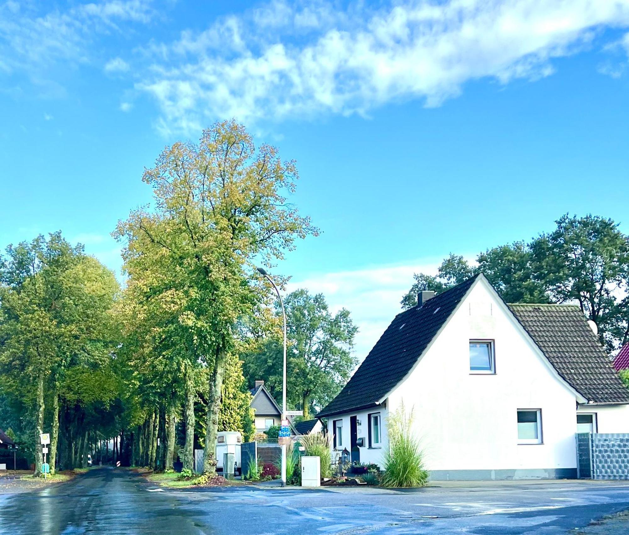 Allee Zum See Schuettorf Kültér fotó